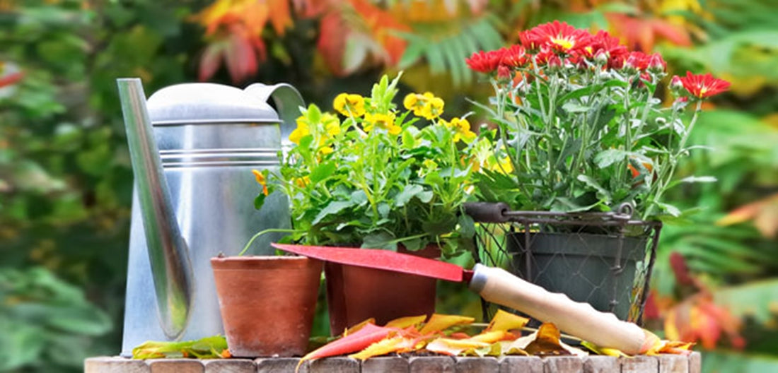 9 Critical Tasks in the October Garden