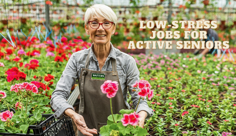 7 Low-Stress Jobs Ideal for Young Retirees
