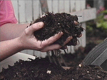 Gardening While Saving
