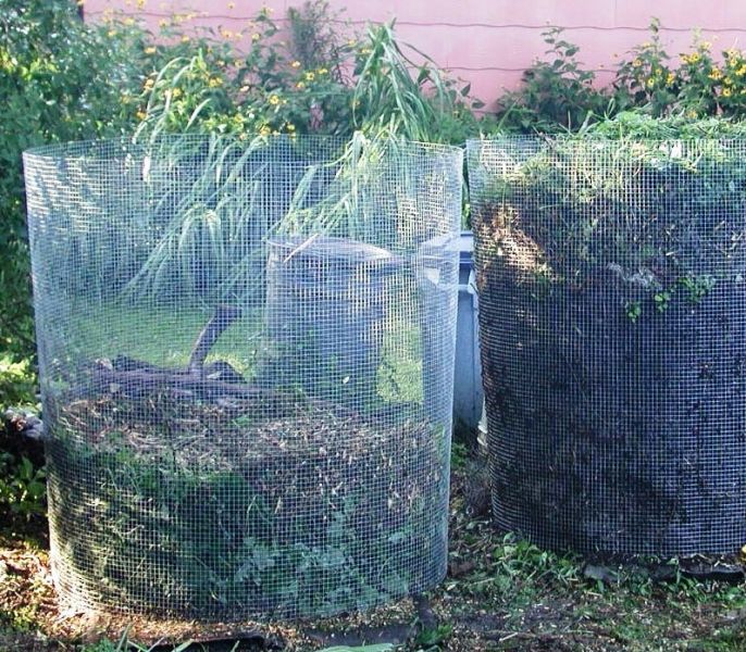 Safe Compost: What to Use