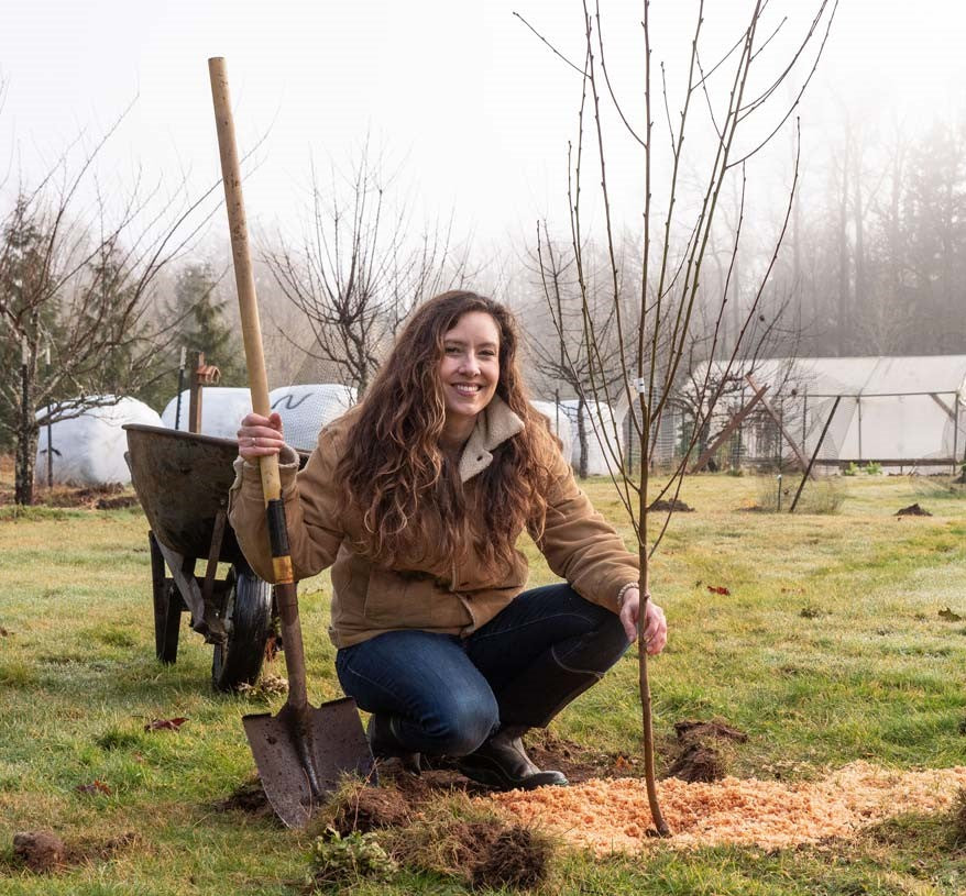 Flowers, Herbs, and Veggies You Can Plant in January