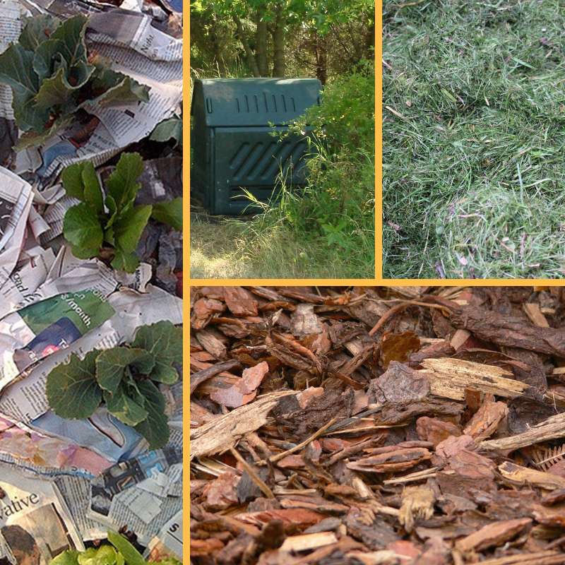 Ultimate Guide for Mulches