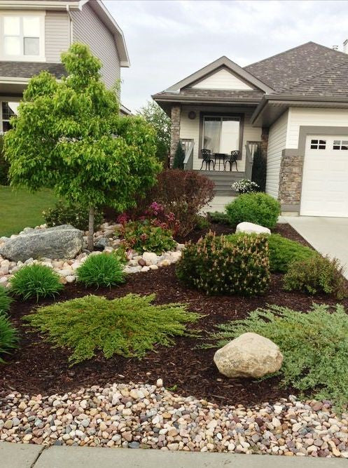 Top 10 Ground Covers & 9 Places To Plant Them