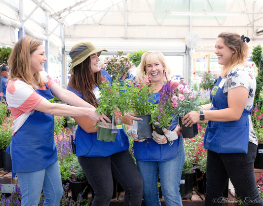 Watters Garden Center Puts People over Profit First