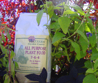 Essential October Steps to a Healthy Garden