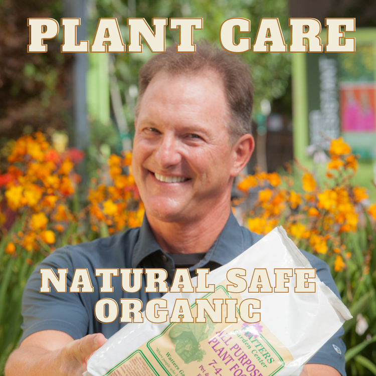 PLANT CARE