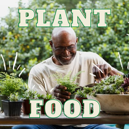 PLANT FOOD