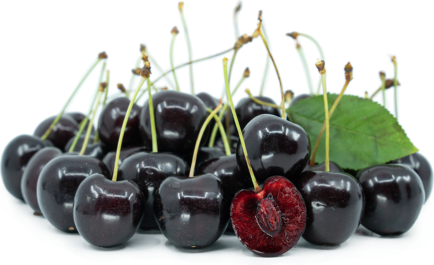 STELLA CHERRY TREE 7gal