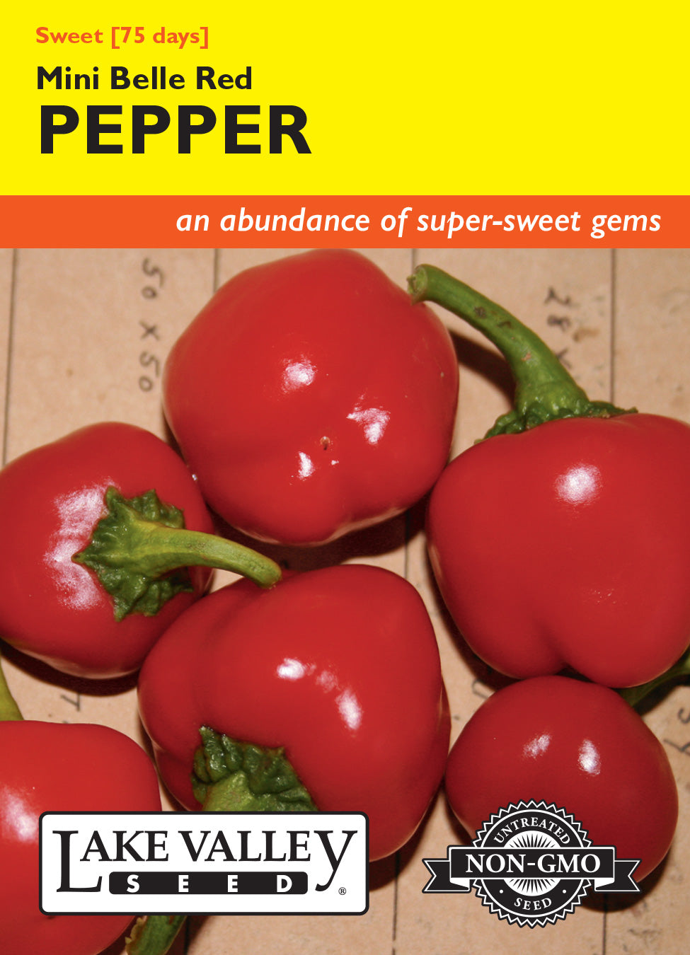 SEEDS 319