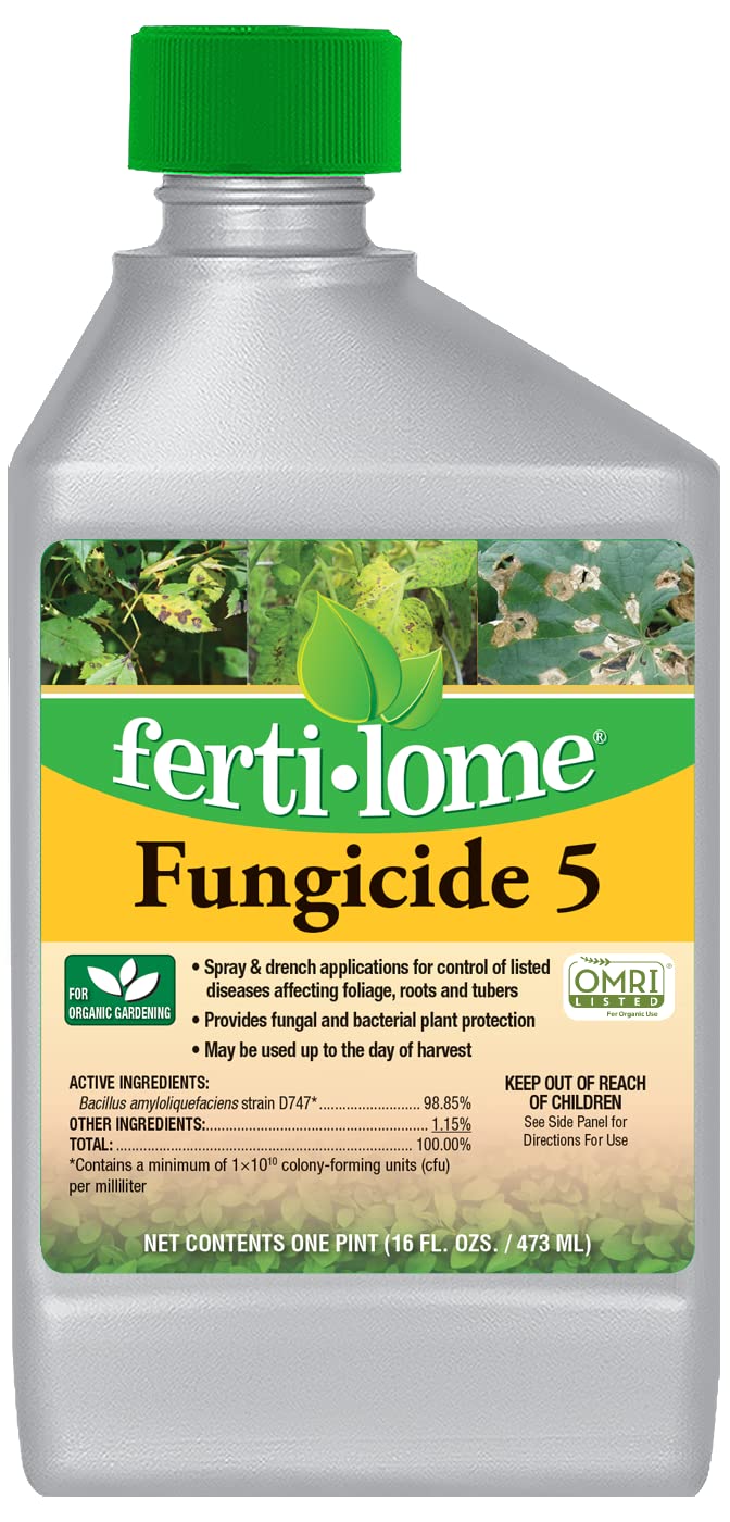 fungicide for plants indoor use FUNGICIDE 5 CONCENTRATE 16oz – Watters Garden Center