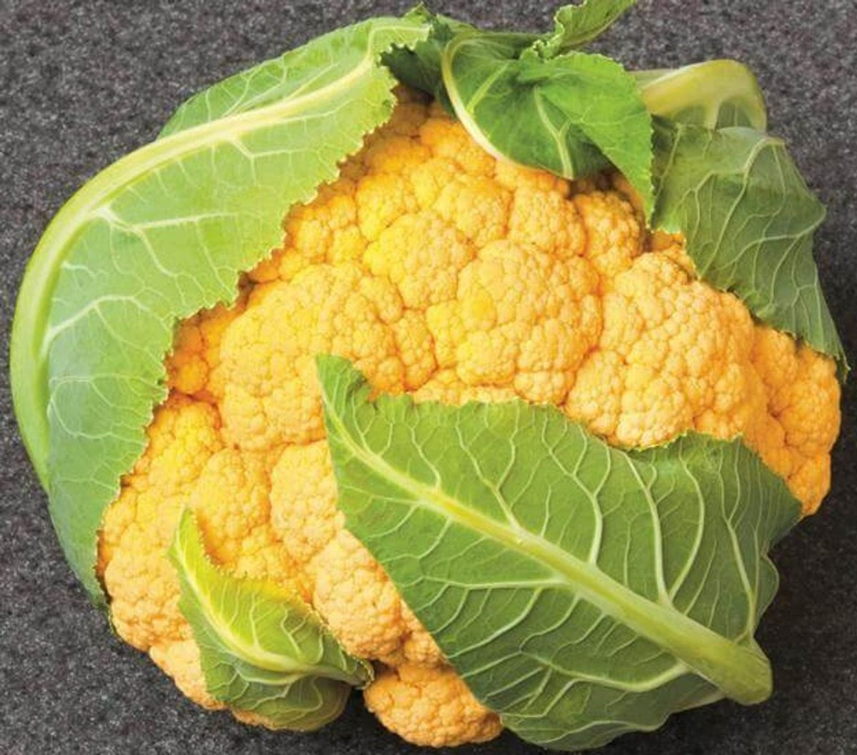 ORGANIC CHEDDAR CAULIFLOWER 4in
