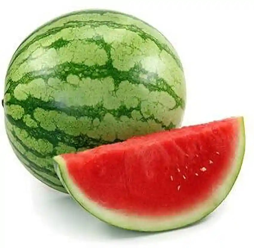 MELON 4IN