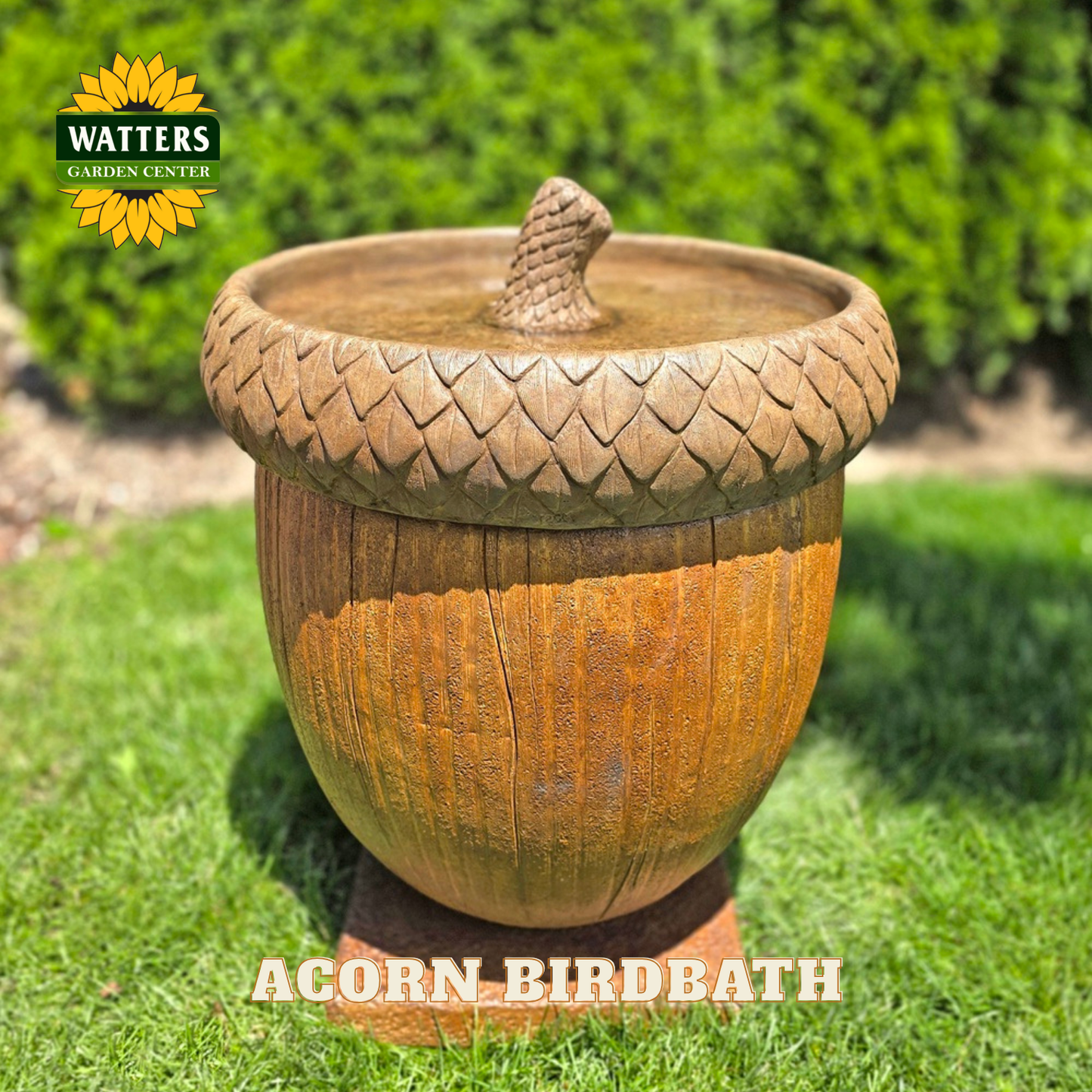 Acorn-shaped birdbath on grass with Watters Garden Center logo.