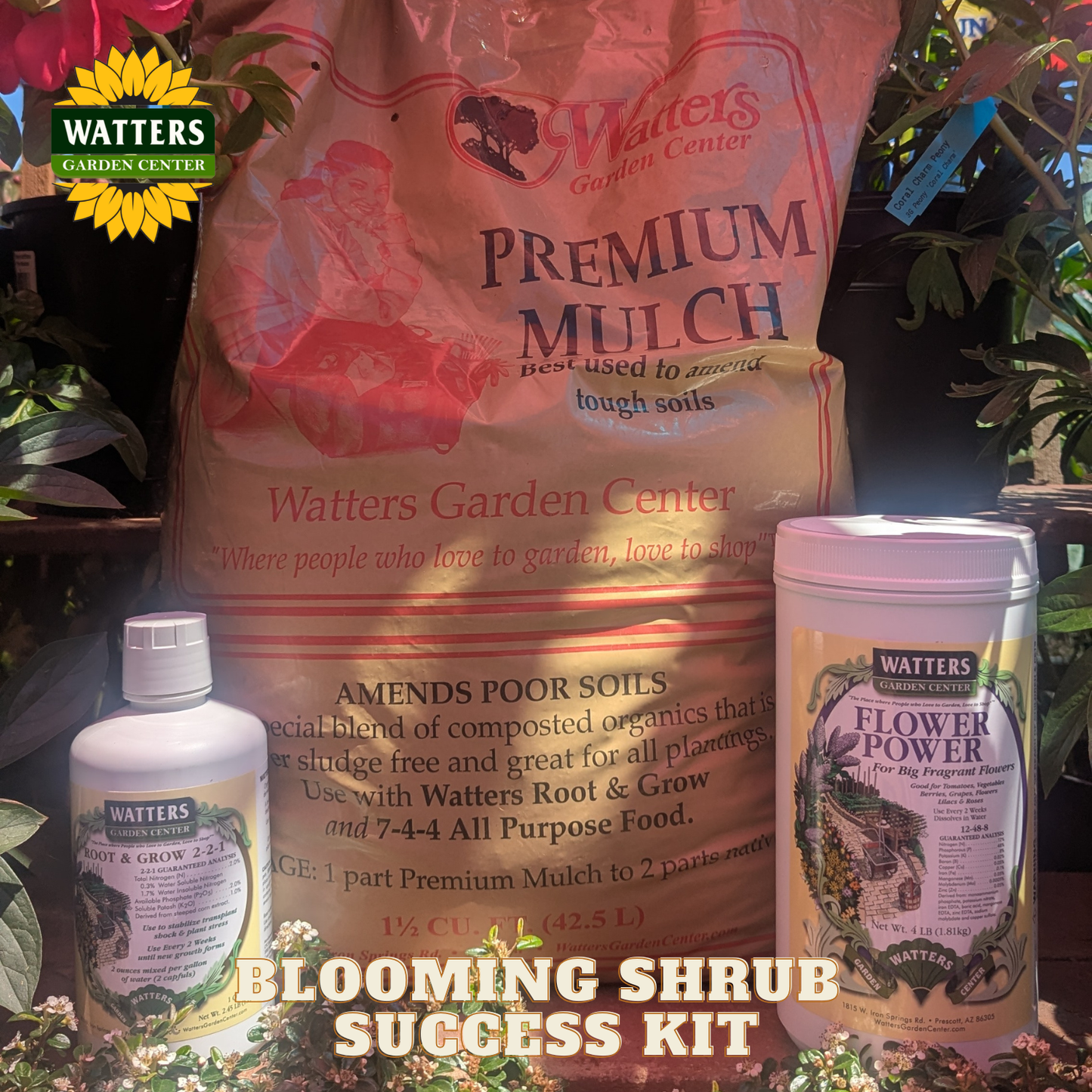 BLOOMING SHRUB SUCCESS KIT