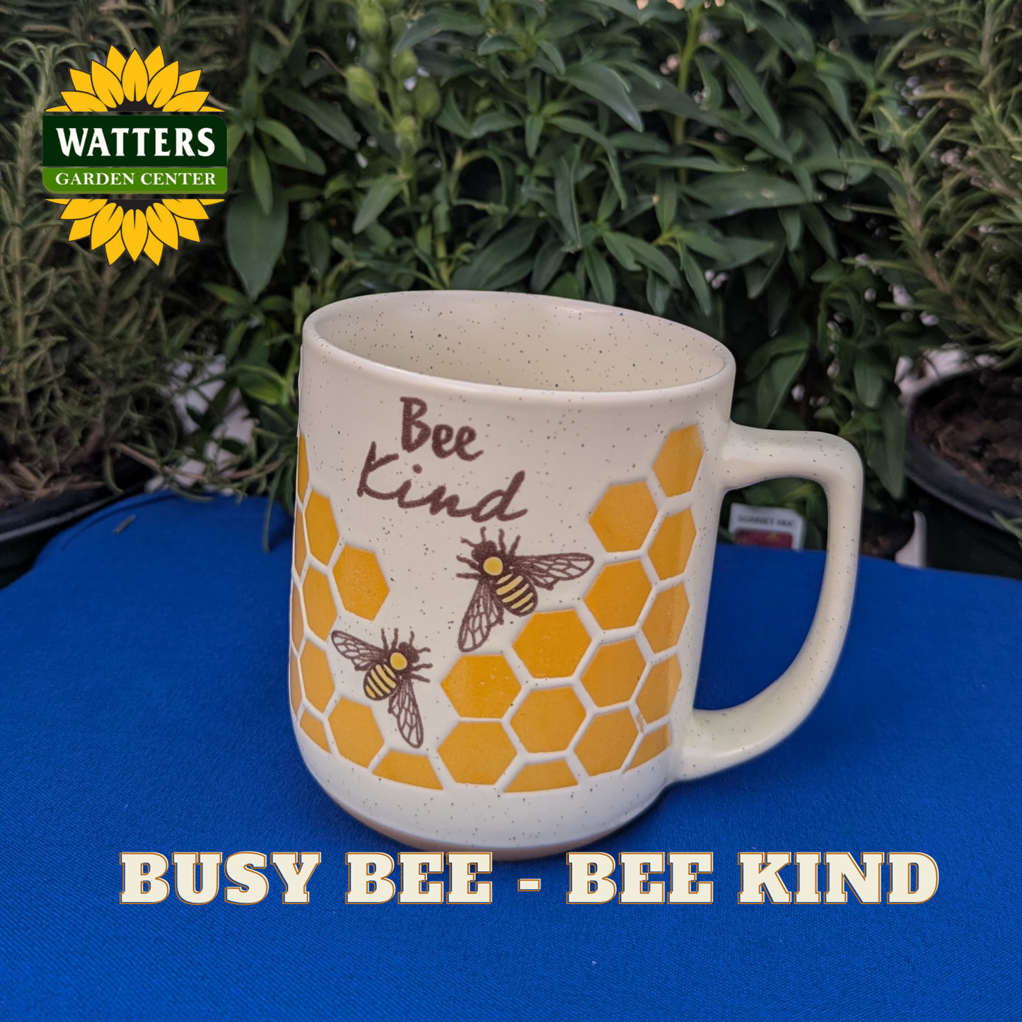 Mug with bee design and 'Bee Kind' text on a blue surface, Watters Garden Center logo visible.