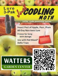 CODLING MOTH TRAP & LURE 3pk