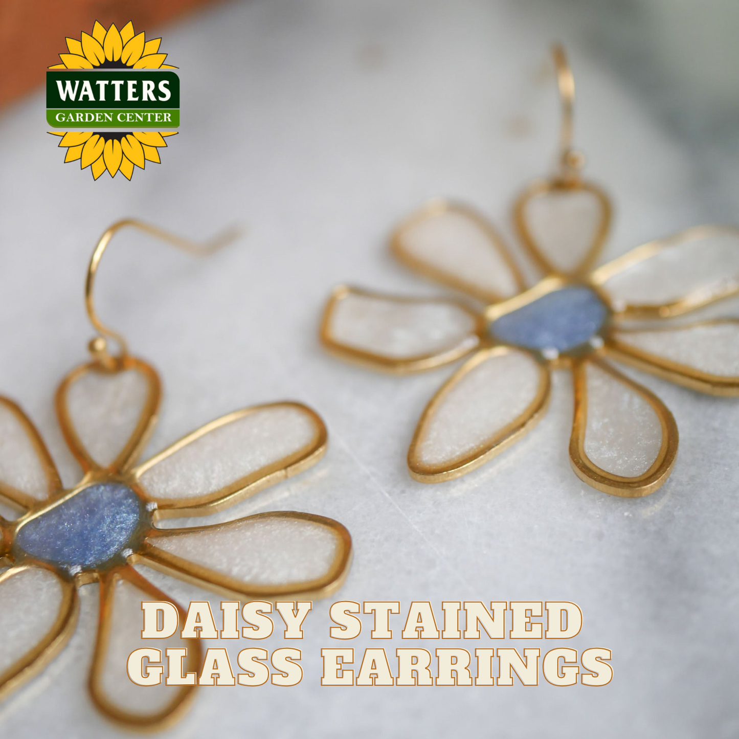 Daisy stained glass earrings with gold frames on a white background, featuring Watters Garden Center logo.