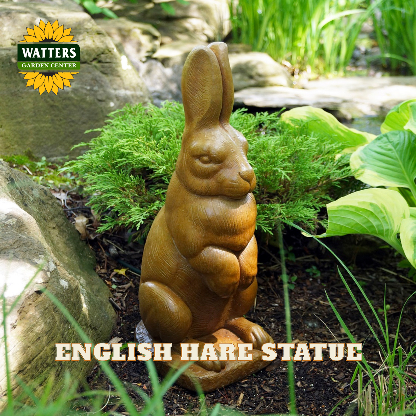 A brown carved rabbit garden statue shown outdoors in a garden bed with rocks, green plants, and mulch. The Watters Garden Center logo appears in the top left, and the text 'ENGLISH HARE STATUE' is overlaid at the bottom.