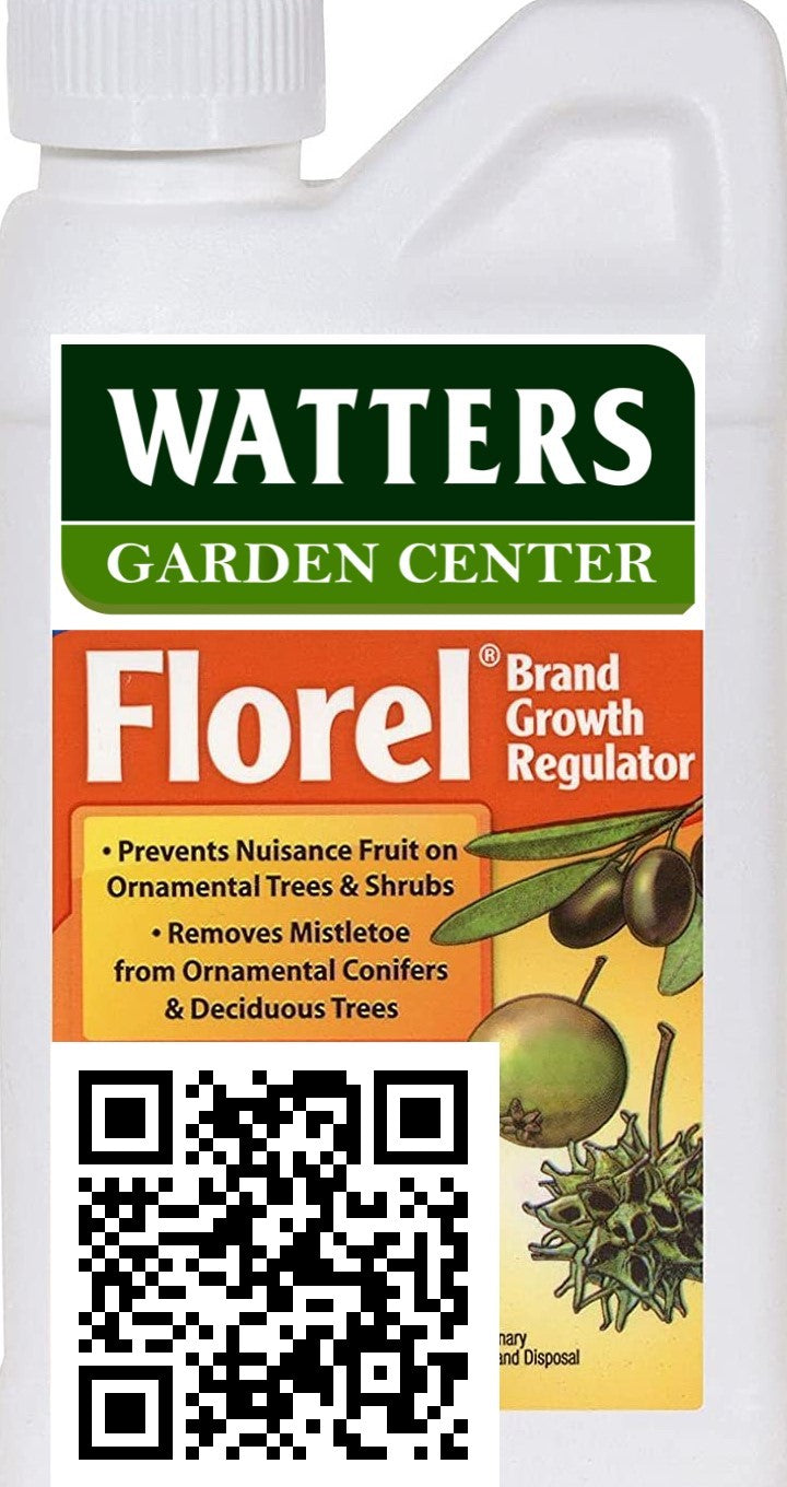 FLOREL FRUIT MISTLETOE CONTROL 16oz