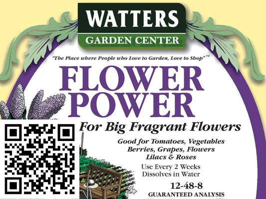 WATTERS FLOWER POWER