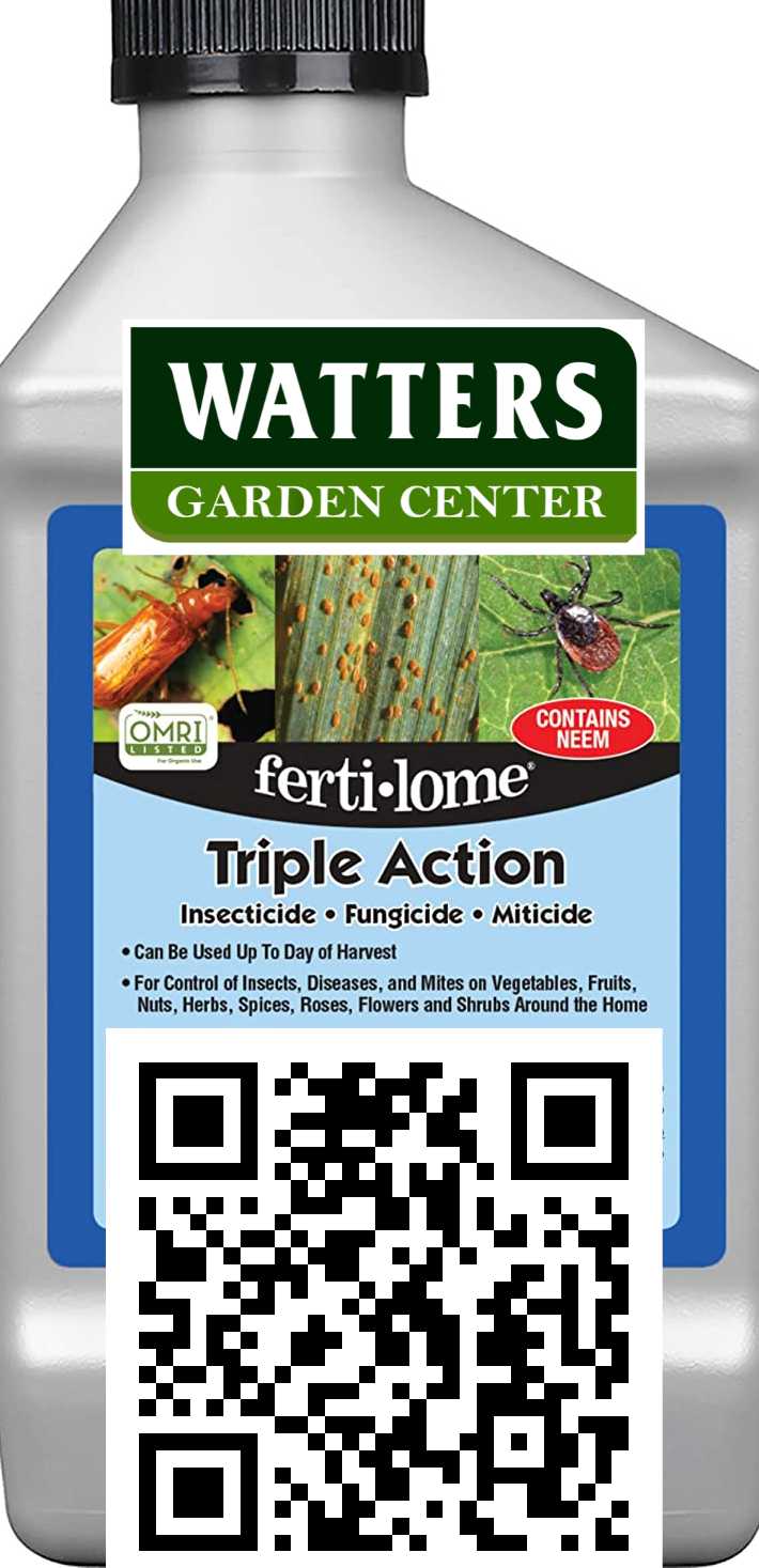 TRIPLE ACTION 16oz