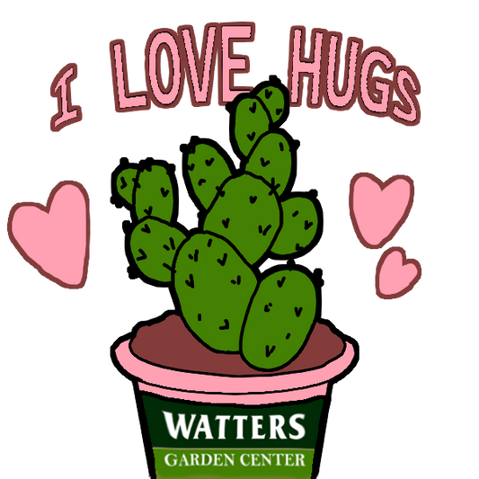 Watters Stickers