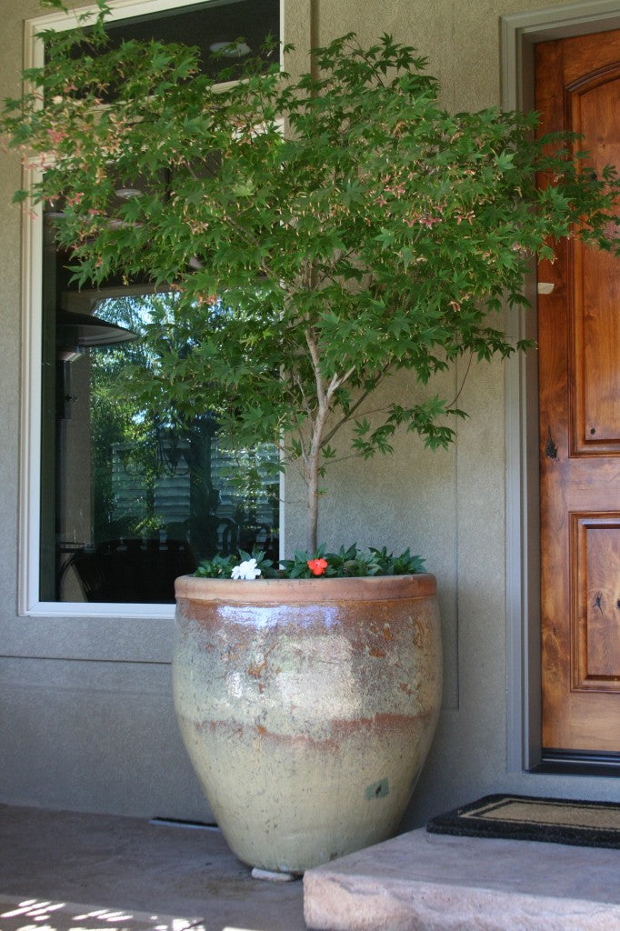 WATTERS POTTING SOIL 1.5cf