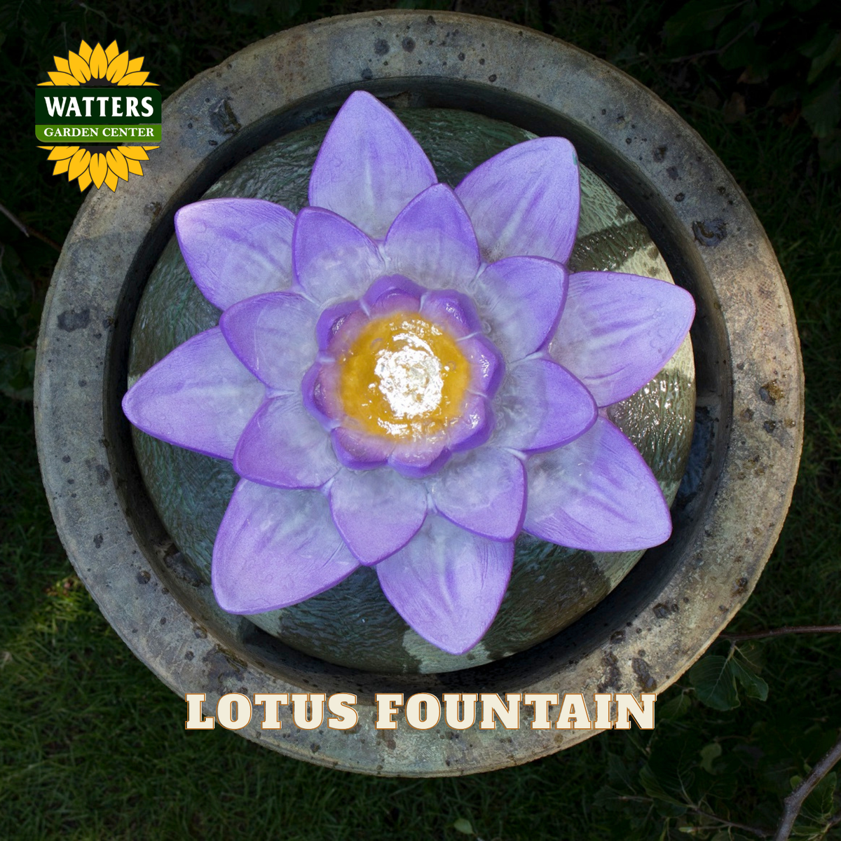 A purple lotus-shaped fountain sculpture with a yellow center, shown in a circular stone basin outdoors on grass. The Watters Gardens Center logo appears in the top-left corner, and the words 'LOTUS FOUNTAIN' are printed at the bottom.