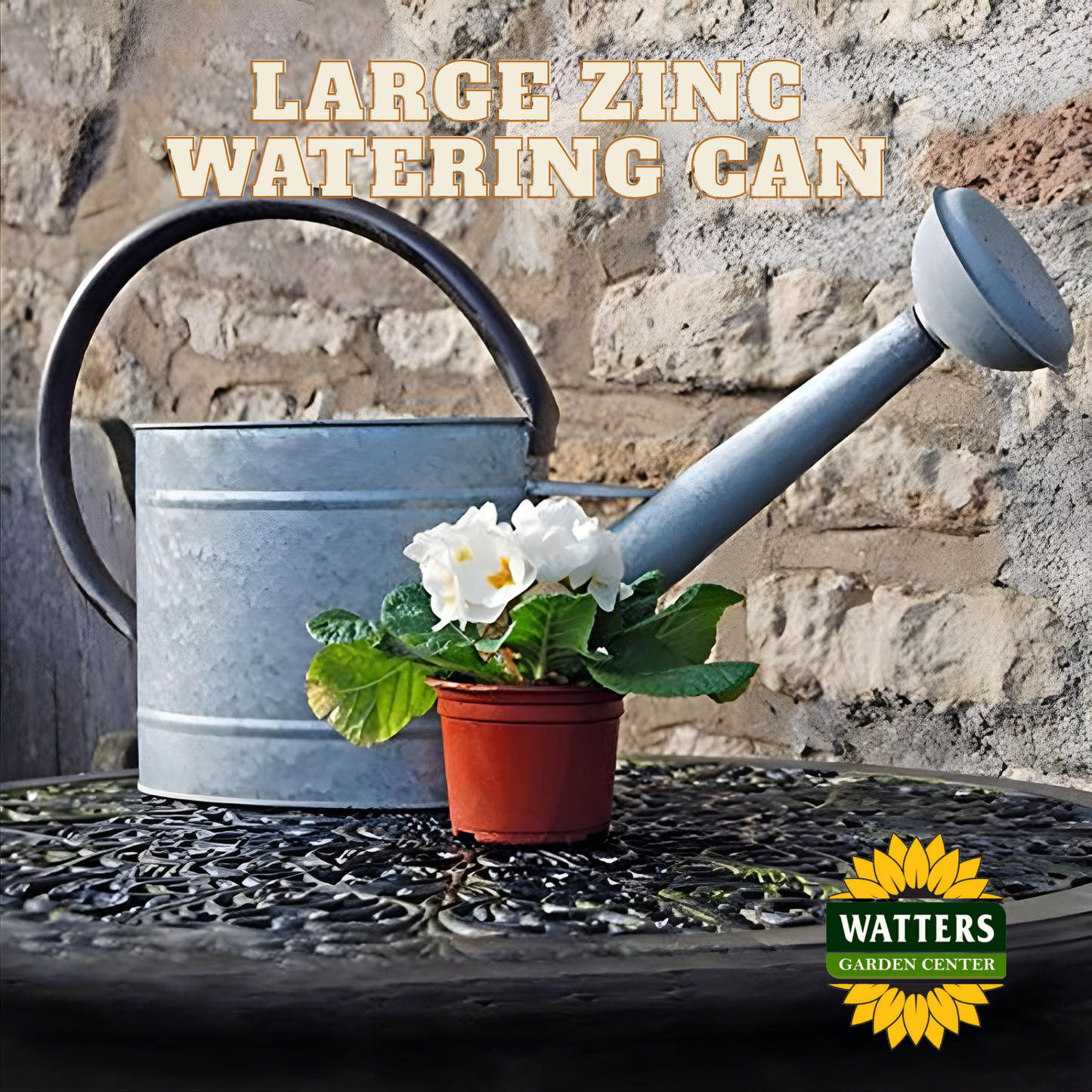 Large Zinc Watering Can - 2.1 gal