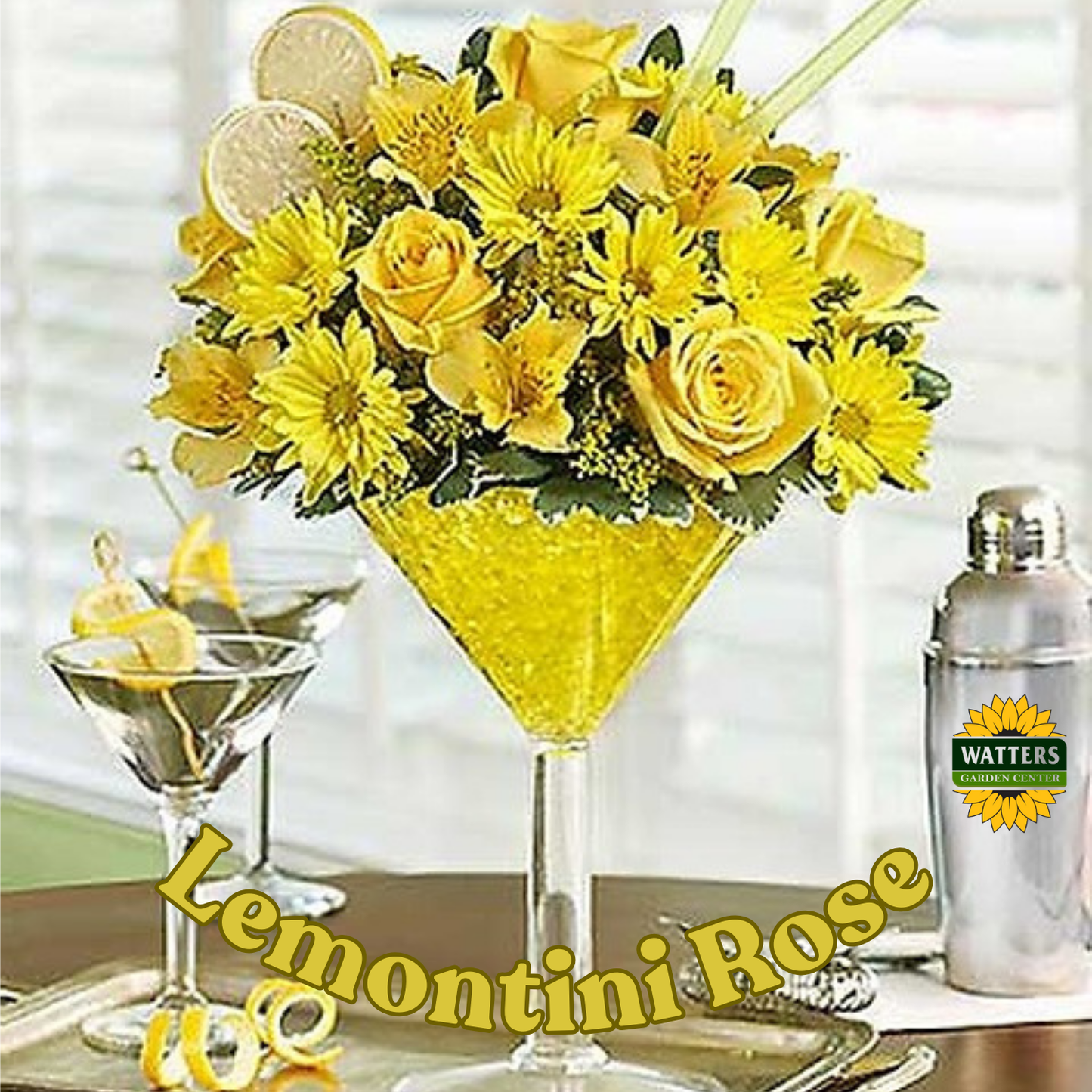 LEMONTINI ROSE