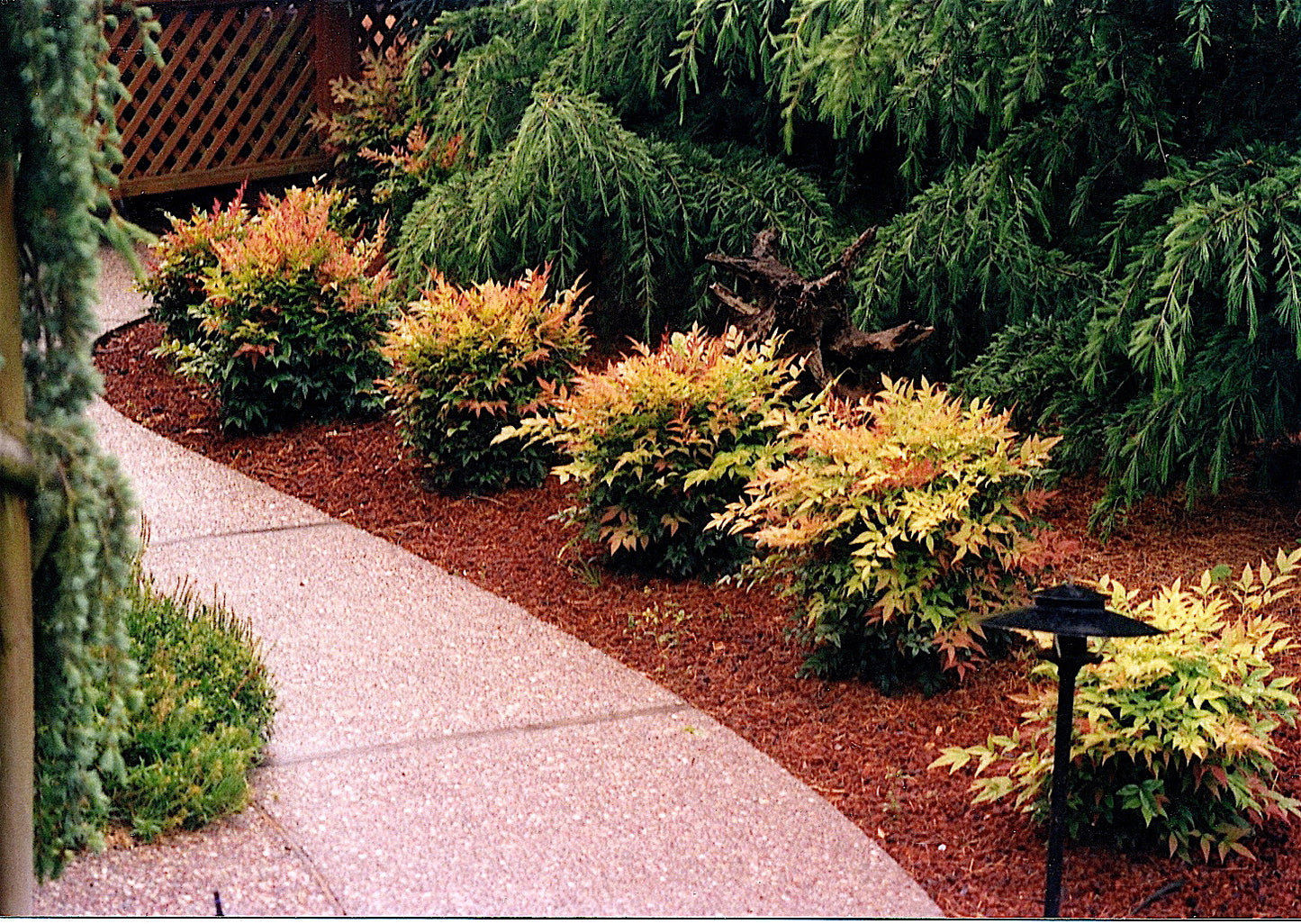 GULF STREAM NANDINA 1gal