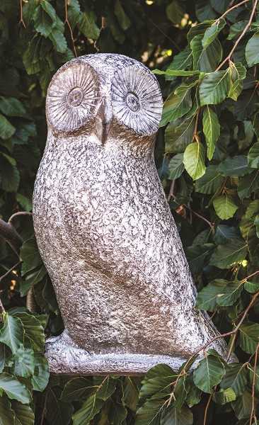 ABSTRACT OWL