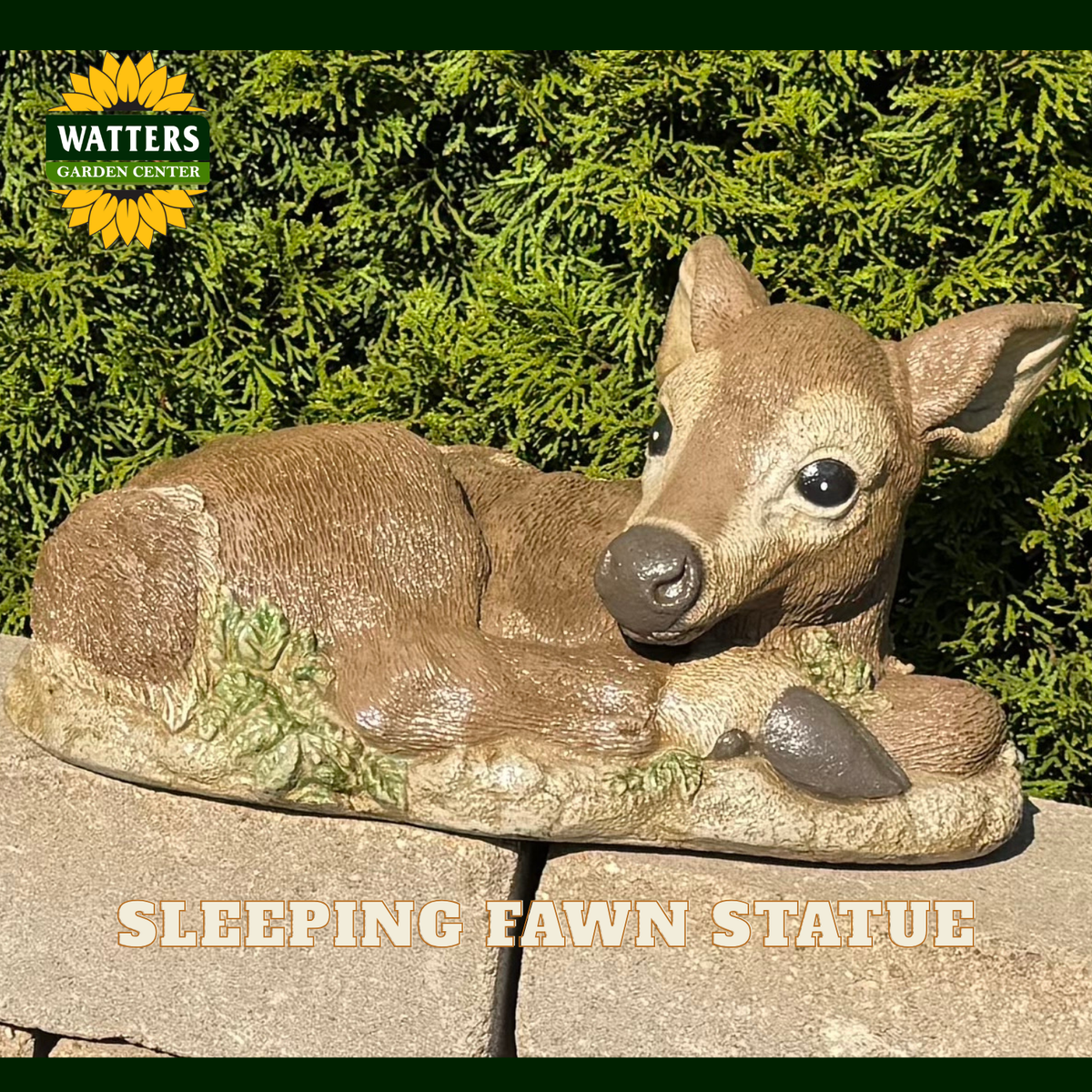 A resin garden statue of a sleeping fawn resting on a stone slab with green foliage in the background. The Watters Garden Center logo is in the top-left corner, and 'SLEEPING FAWN STATUE' is written at the bottom.