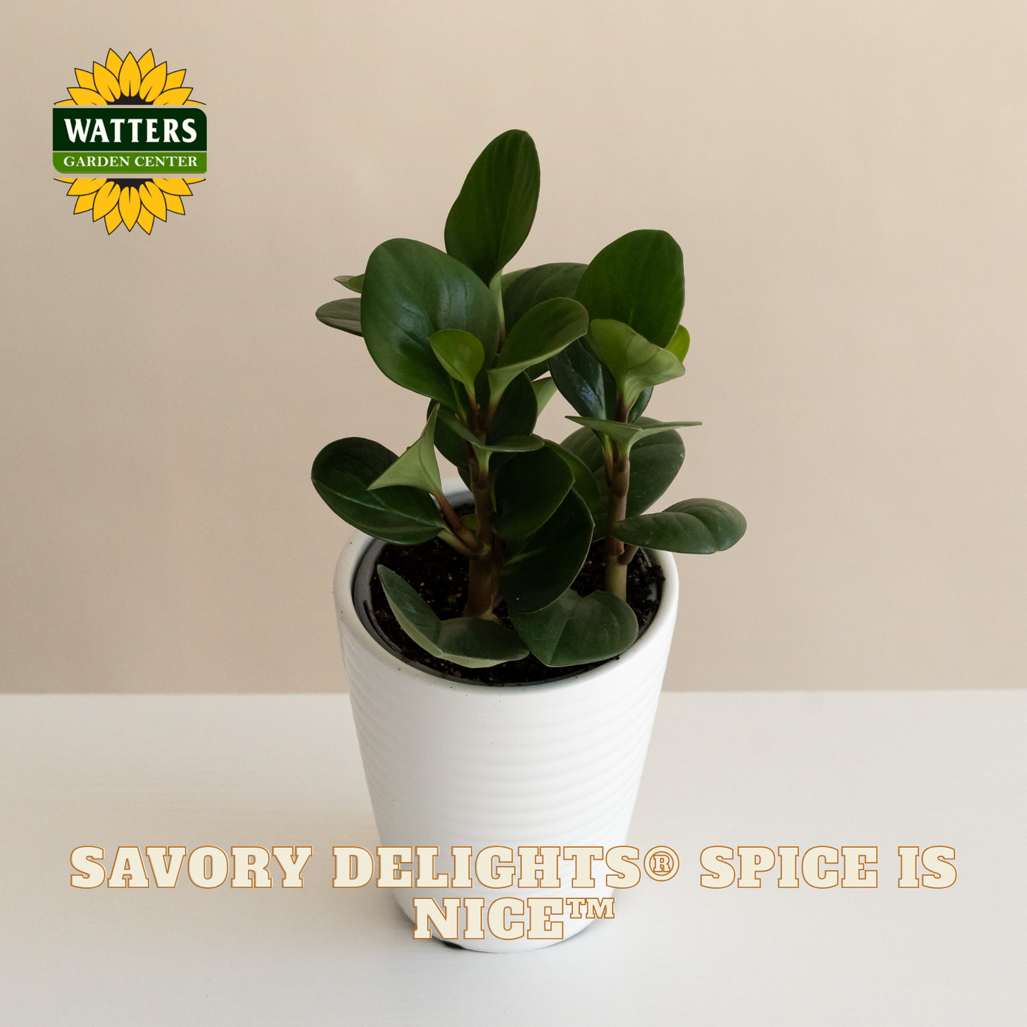 Savory Delights® Spice is Nice™