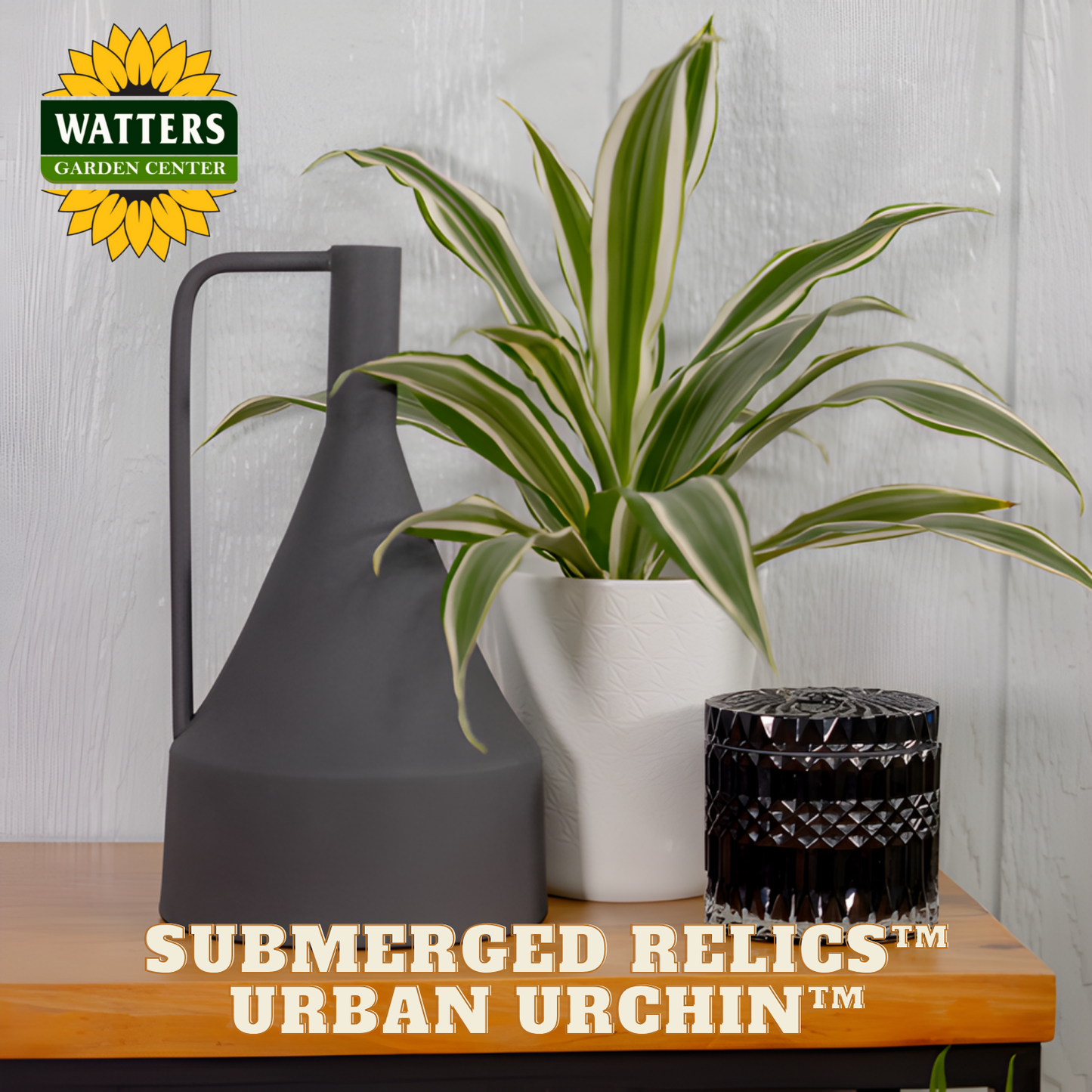 Potted plant with a watering can and decorative container on a wooden surface, featuring Watters Garden Center branding.