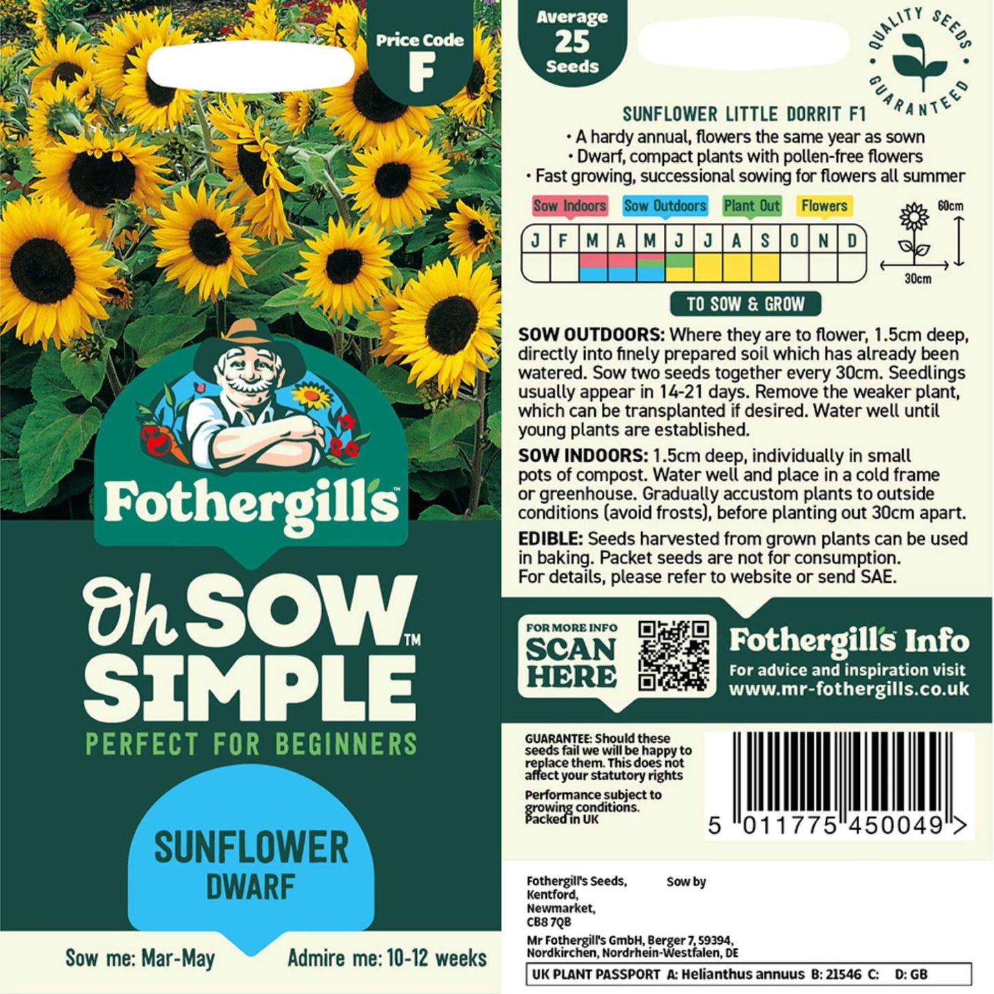 Sunflower Dwarf Seed