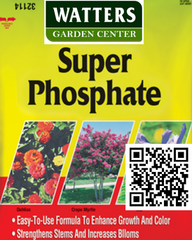 SUPER PHOSPHATE 15LB