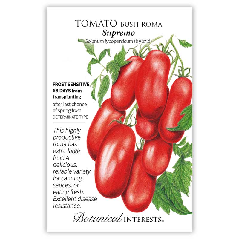 SEEDS 499