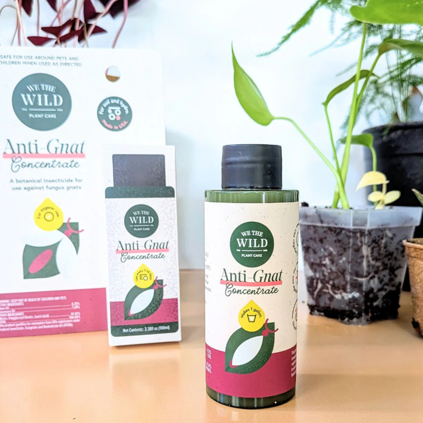 WE THE WILD: ANTI-GNAT CONCENTRATE