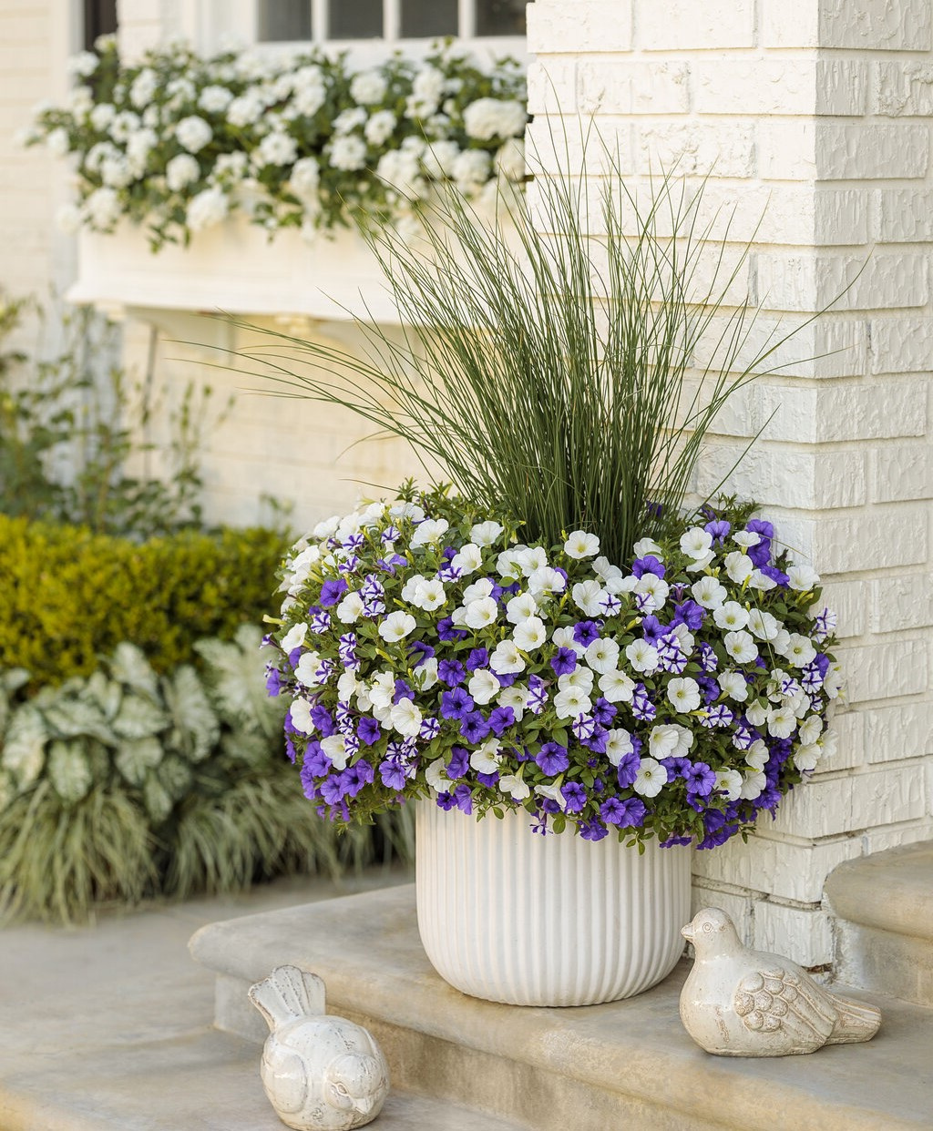 SUPER PHOSPHATE 3.25lb