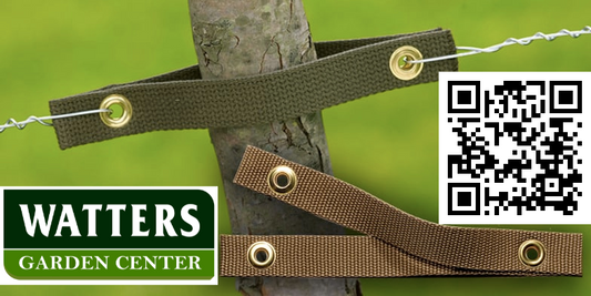 V STRAP TREE SUPPORT