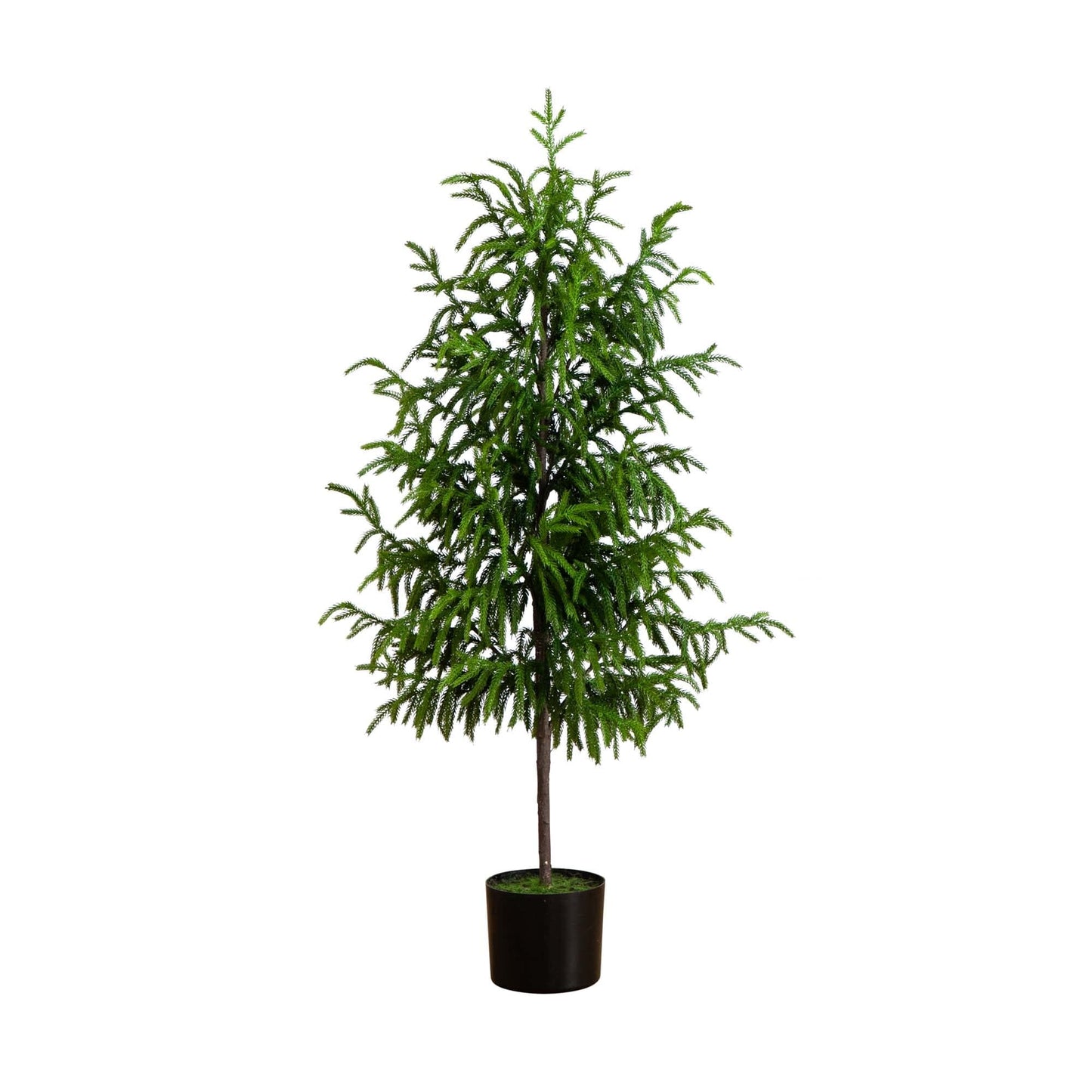 Norfolk Pine Faux Tree 4'