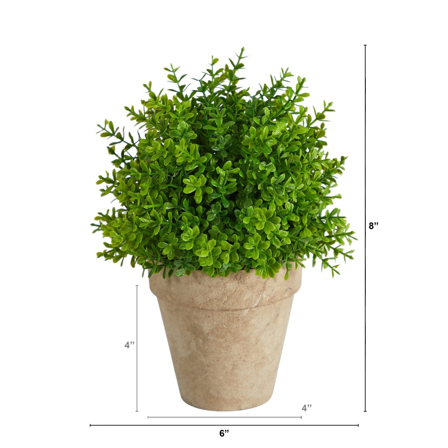 Boxwood Faux Plant in Decorative Planter 8”