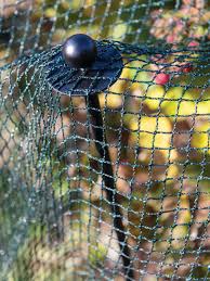 BIRD NETTING 14x14'