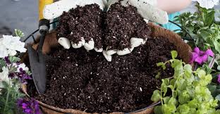 WATTERS POTTING SOIL 1.5cf