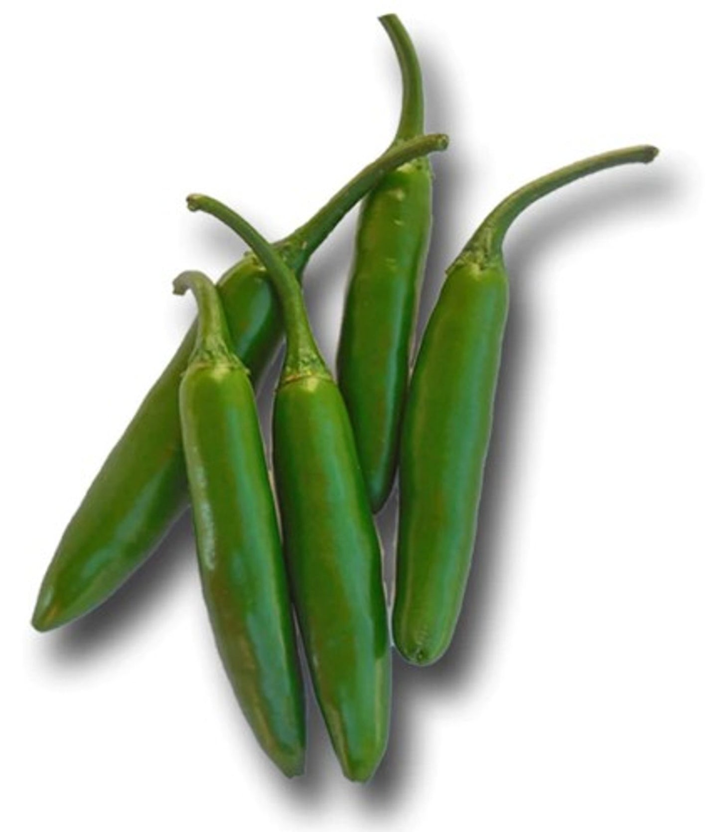 PEPPER 4in