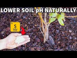 SOIL SULFUR 3.25lb