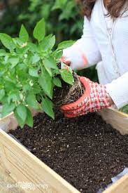 WATTERS POTTING SOIL 1.5cf