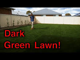 CHELATE LIQUID IRON 16oz