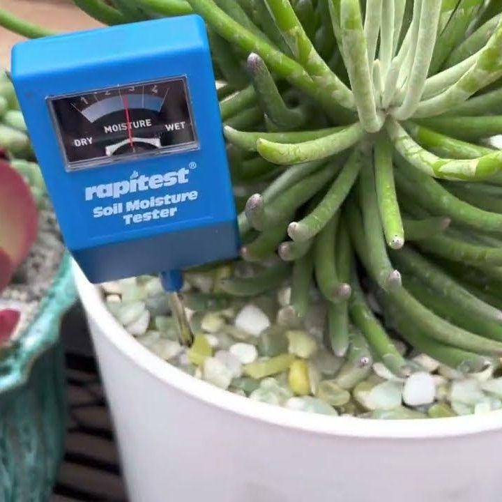 MOISTURE WATER METER